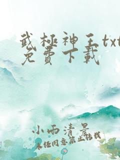 武极神王txt免费下载