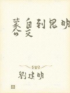 蒙自到昆明城际公交