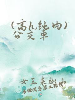(高h,纯肉)公交车