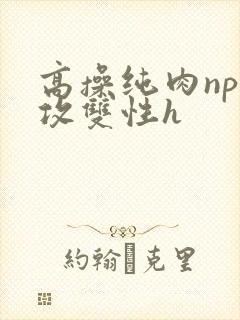 高操纯肉np互攻双性h