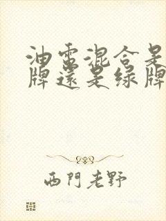 油电混合是上蓝牌还是绿牌