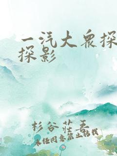 一汽大众探岳和探影