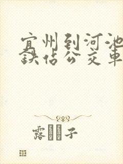 宜州到河池西高铁站公交车时间表