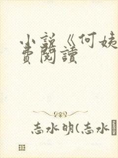 小说《何姨》免费阅读