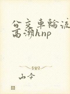 公交车轮流操到高潮hnp
