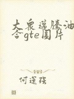 大众迈腾油电混合gte图片
