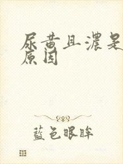 尿黄且浓是什么原因