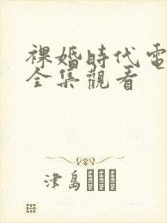 裸婚时代电视剧全集观看