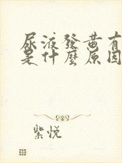 尿液发黄有味道是什么原因男性