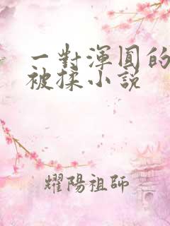 一对浑圆的胸乳被揉小说