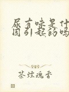 尿有味是什么原因引起的吗