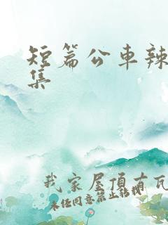 短篇公车辣文合集