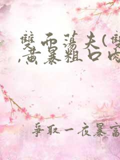 双面荡夫(双性,黄暴粗口肉合集
