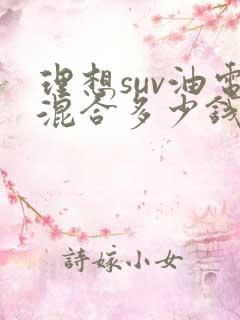 理想suv油电混合多少钱