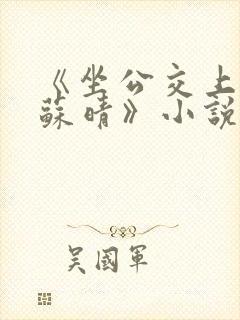 《坐公交上班的苏晴》小说