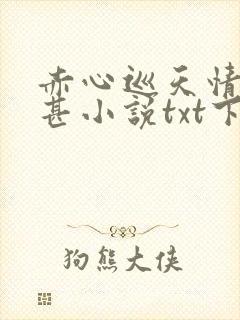 赤心巡天情何以甚小说txt下载完整版