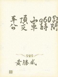 平顶山g60路公交车时间表