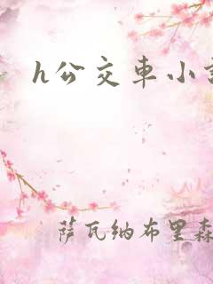 h公交车小说