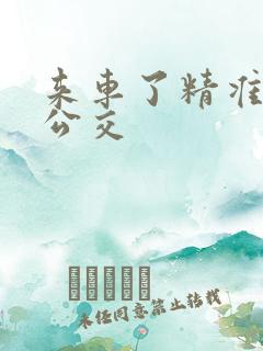 来车了精准实时公交