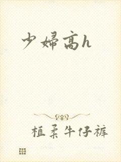 少妇高h