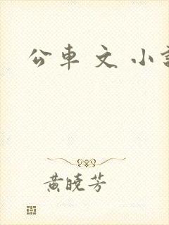 公车 文 小说