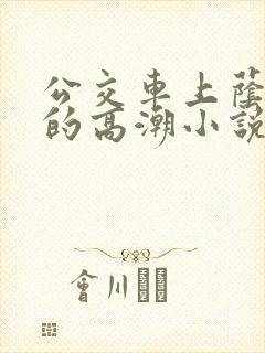 公交车上荫蒂添的高潮小说