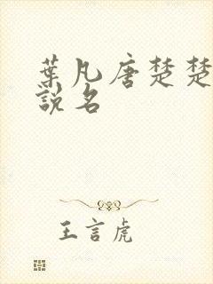叶凡唐楚楚的小说名