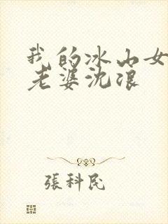 我的冰山女总裁老婆沈浪