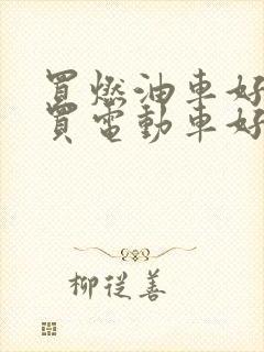 买燃油车好还是买电动车好