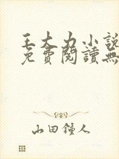 王大力小说小说免费阅读无弹窗