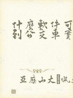 什么软件可以查到公交车实时位置