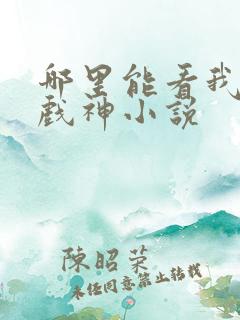 哪里能看我不是戏神小说