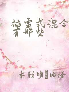 插电式混合车型有哪些