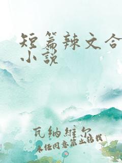 短篇辣文合集 小说