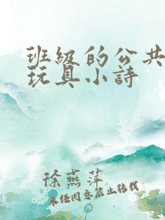 班级的公共高级玩具小诗