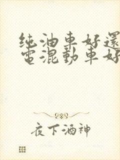 纯油车好还是油电混动车好