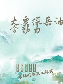 大众探岳油电混合动力