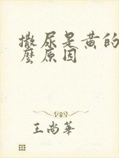 撒尿是黄的是什么原因