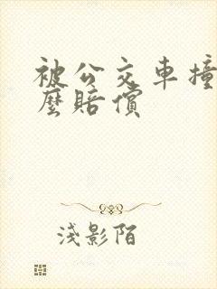 被公交车撞了怎么赔偿