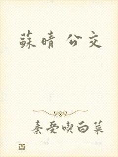 苏晴 公交