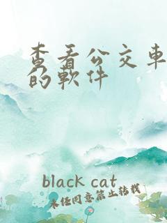 查看公交车到哪的软件