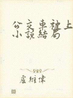 公交车被上高潮小说结局