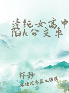 清纯女高中生沦陷h公交车