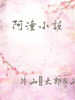 阿潼小说