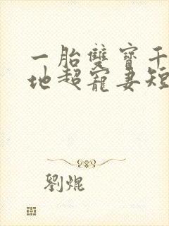 一胎双宝千亿爹地超宠妻短剧在线