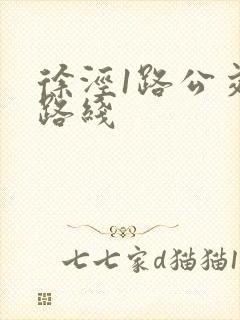 徐泾1路公交车路线