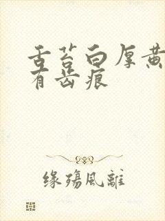 舌苔白厚黄中间有齿痕