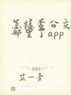 怎样查公交车到哪里了app