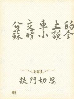 公交车上的妈妈苏晴小说全文阅读下
