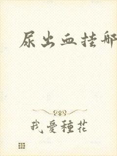 尿出血挂哪个科